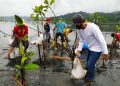 ANCAMAN ABRASI MELUAS, MAHASISWA UNISSULA TANAM MANGROVE DI DEMAK