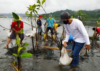 ANCAMAN ABRASI MELUAS, MAHASISWA UNISSULA TANAM MANGROVE DI DEMAK