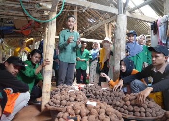 Unissula Fasilitasi Mahasiswa Nusantara Belajar Bisnis Konservasi Lingkungan