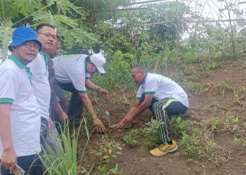 Perkuat Tanggul Sungai Tuntang, ICMI Jateng Tanam 5000 Pohon